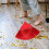 Replacement Broom Head For Push Broom Cleaning Sweeper Part 4