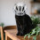 4Pcs Clear Round Cat To Prevent Biting And Licking 5