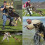 Dog Training Kit Protective Cover Arm Guard Durable Sleeve For Soft Bite Protection 5
