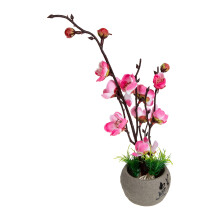 4Pcs Japanese Sushi Plate Set With Butterfly Orchid Design