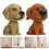 8Stk Resin Auto Bobblehead Dashboard 11