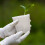 40 Unidades Para Plantas Transparentes Plástico 8