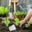 40 Unidades Para Plantas Transparentes Plástico 10