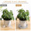 2 Pcs Drenagem Cerâmica Para 6