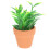 Miniatura Decorativa De Planta Bonsai Resistente Para Casa 6