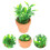 Miniatura Decorativa De Planta Bonsai Resistente Para Casa 7