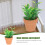 Miniatura Decorativa De Planta Bonsai Resistente Para Casa 11