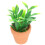 Miniatura Decorativa De Planta Bonsai Resistente Para Casa 1