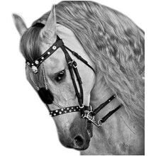 Horse Bridle With Rein Adjustable Equestrian Headcollar Style Halter And Saddle Accessories