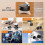 (White) Suction Cup Magnetic Car Phone Holder Multifunctional Foldable Storage Holder for Home Kitchen-Good 4