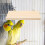 Wood Bird Perch Platform For Cage 2 Pcs 4