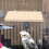 Wood Bird Perch Platform For Cage 2 Pcs 6