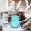 5Pcs Hanging Candle Holder Glass Tea Light Wall Mount Planter 11