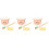 3 Sets Standard Teeth Model For Oral Education And Study 6