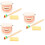 3 Sets Standard Teeth Model For Oral Education And Study 9