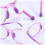 Children Anti-Blue Light Glasses Ultralight 2