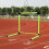 Speed Agility Training Equipment, Adjustable Height, Model X1, Steel Frame, 24-60 In Range 5