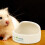 5Pcs Ceramic Hamster Food Bowl Feeder For Small Pets 6