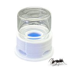 Ant Liquid Feeder Transparent Drinking Feeder Anti-Drowning Water Station for Bees and Ants Home Outdoor Classroom Farm