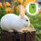 2 Pcs Pet Winter Clothes Warm Breathable Rabbit Apparel 10