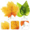 4Pcs Betta Fish Leaf Beds For Fish Tank Decor 9