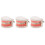 3Pcs Removable Dentist Teaching Model Realistic Teeth Structure 7