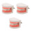 3Pcs Removable Dentist Teaching Model Realistic Teeth Structure 4