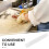 Fish Bat: 12" X 1.6" Solid Plastic Hammer For Seafood Preparation 9