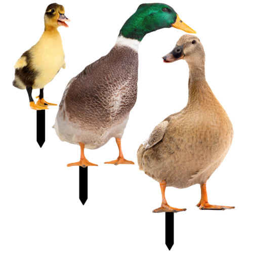 12 Pcs Acrylic Duck Stakes For Garden Lawn Yard Decor 1
