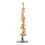 2 Sets Mini Saxophone Model With Decorations And Figurine 1