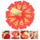 40 Pcs 2023 Rabbit Year Envelope Greeting Cards With Gold Foil 9