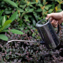 Small Watering Can Transparent Indoor Plants Watering Can With Long Spout Large Capacity PP Material Starry Gray