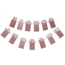 5 Sets Photo String Diy Picture Frame Glitter Bunting Garland