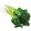 20 Pcs Aquarium Artificial Plants Fish Tank Accessory 1