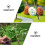 4 Pcs Mini Fishing Pole Model For Micro Landscape House Accessories 4