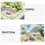 15 Set Aquarium Plant Weights With Sponge And Ceramic Holder 7
