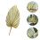 5 Pcs Natural Dried Cattail Leaf Palm Decor 11