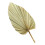 5 Pcs Natural Dried Cattail Leaf Palm Decor 3