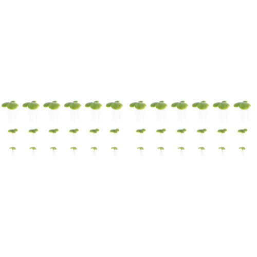 144 Pcs Mini Fake Duckweed Simulation Floating Plant Decor 1