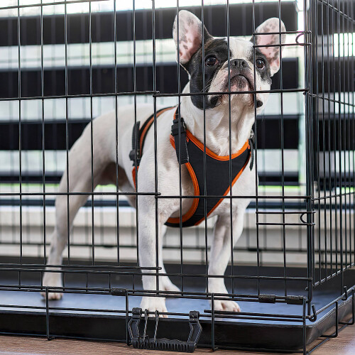 4 Pcs Bird Cage Tray Small Dog Crate Parrot Bunny Bottom Replace 1