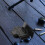 12 Pcs Set Aluminum Alloy Durable Shooting Training Targets 5