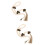2Pcs Dog Training Door Bell Rustic Hanging Pet Doorbell 9