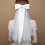 2Pcs Women Wedding Bridal Veil With Bow Romantic Accessory 11