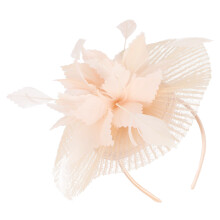 2St Exquise Roze Fascinator Hoed Met Veil Mesh Veer Party Hoofdband