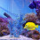 3Pcs Fish Tank Water Plants Landscape Decoration 6