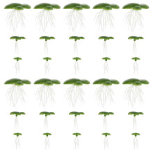 6Packs Green Plastic Artificial Duckweed Floating Aquarium Plants