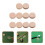 30 Pcs Pu Cue Tips Replacement For Pool Billiard Snooker Cues Sticks 11