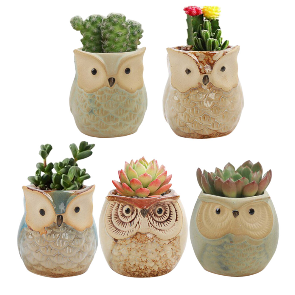 10 Pcs Owl Shape Mini Ceramic Flowerpot For Succulent Plants-image-OPC-PKXR565-NEW
