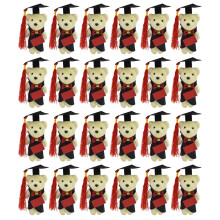 24 mini plüschbären absolventen teddybären blumenstrauß deko