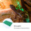 Reptile Vert Antibactérien Respirant Pour Animal 8